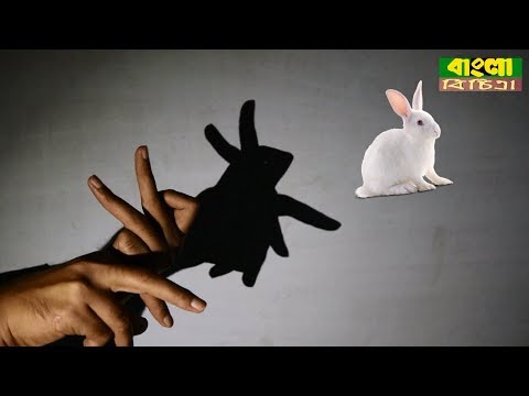 How to make shadow puppets with your hand ... - VideoLink How to make shadow puppets with your hand ... - VideoLink