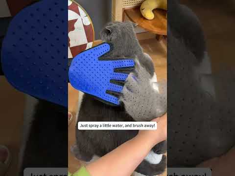 Magic Pet Grooming Glove: A must-have for fur-tastic grooming! 🐱🐶