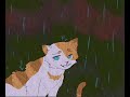 Why Is It Still Raining Warrior Cats Brightpaw And Swiftpaw
