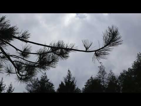 Znaci moga mesta - Mlinska Rijeka