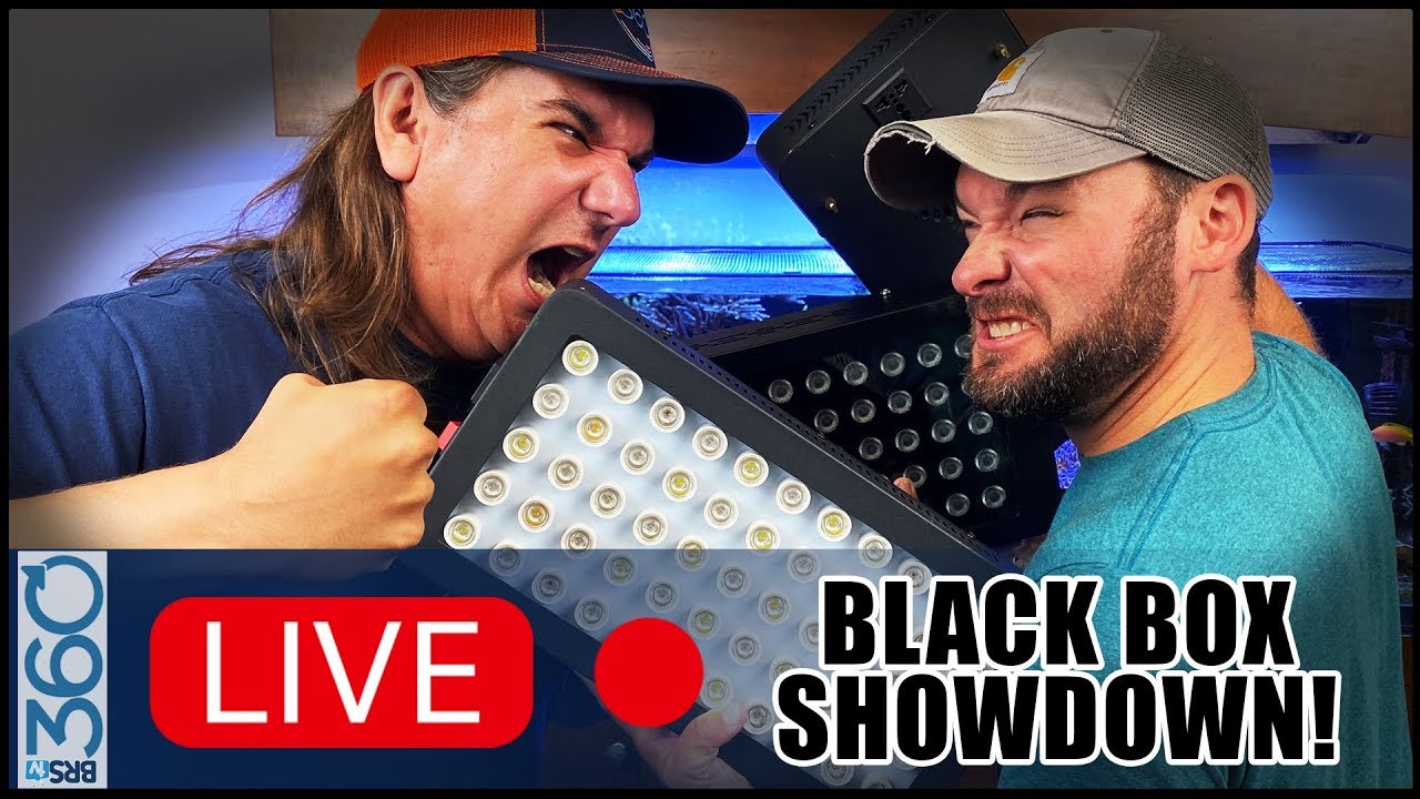 BRS Black Box LED Battle Royal: MarsAqua vs. Viparspectra vs. Phlizon vs. Wills. One Clear Winner!