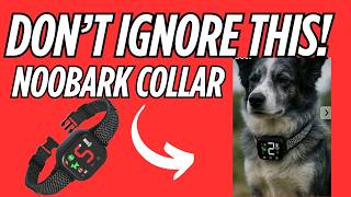 NooBark Anti Bark Collar Reviews - Is Noobark Collar for Dogs Safe or Just Hype?