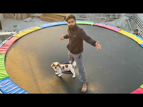 New trampoline aagya hamara