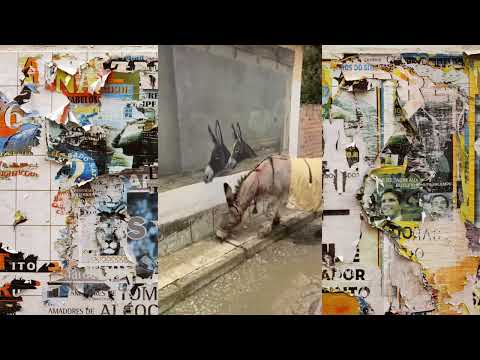 When does the Virtual become Real? Donkey in pain 🐴