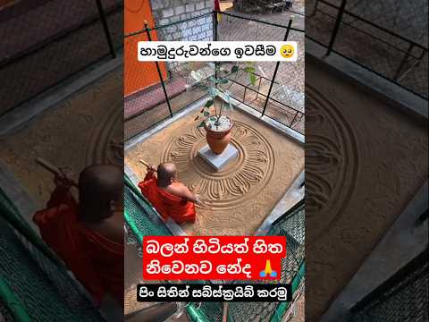 දැක්කත් හිත නිවෙනව නේද 🥺🙏 #buddha #banakatha #pirith #shorts