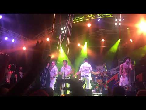 The Adicts, Rebellion 2018