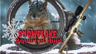 Snowflake Squirrel Hunt with Airguns and the ATN X Sight 4K Pro