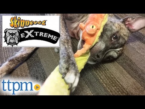 download lagu mp3 mp4 Skinneeez Dog Toys Uk, download lagu Skinneeez Dog Toys Uk gratis, unduh video klip Skinneeez Dog Toys Uk