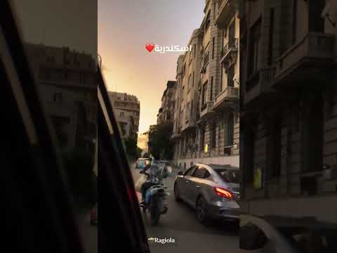 #love #dance #المراره #motivation #cat #النظافه #relationship #funny #التغطيه