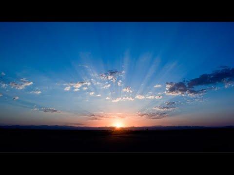 Happy Readings | Music for Studying