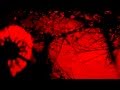 Drudkh - Tam Gdzie Gasnie Dzien...(video) 2014 ...