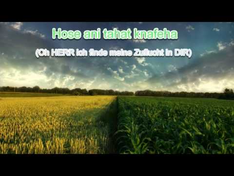 Daniel Carmel - The One