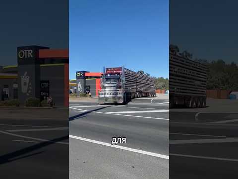 Забор из алюминия: Зачем австралийским фурам огромные кенгурятники? #roadtrain #truckfact #truck