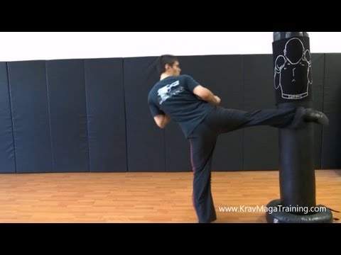 Krav Maga - Switch Kicks (Reason and Training Tips)