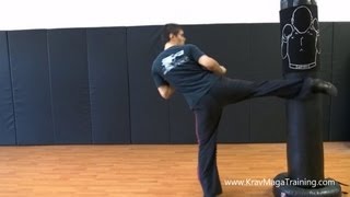 Krav Maga - Switch Kicks (Reason and Training Tips)