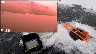 UNDERWATER CAMERA - Tip Up Ice Fishing - EARLY ICE PIKE 2019