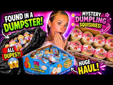 We Found VIRAL Squishies In The Trash....