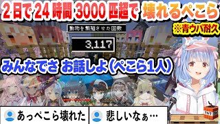 【 ペコムラ7日目 】青ウパ耐久2日で24時間 3000匹を超えてメンタルが壊れて1人でエアホロメンと会話を始めるぺこら 青ウパ耐久まとめ【兎田ぺこら/天音かなた/ホロライブ/切り抜き】
