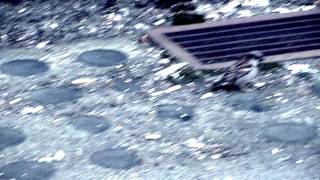 Video RayMan - Jiný pohled