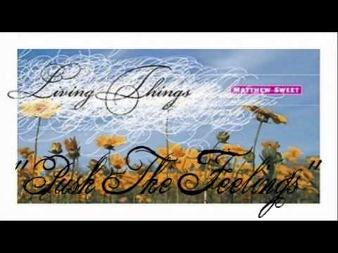 Thumbnail for Matthew Sweet - Push The Feelings by Matthew Sweet