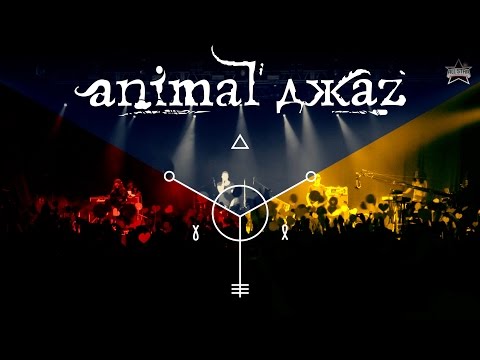 Animal ДжаZ - live @ Ray Just Arena (19.04.2015) - ALL STAR TV 2015