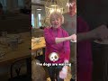 She WOULD Ve Had That Prank Joke Funny Family Afv