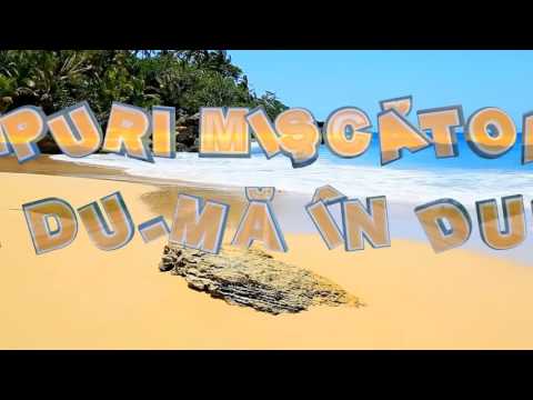 Fly DJs ft. Alessia - Dubai (lyric video)