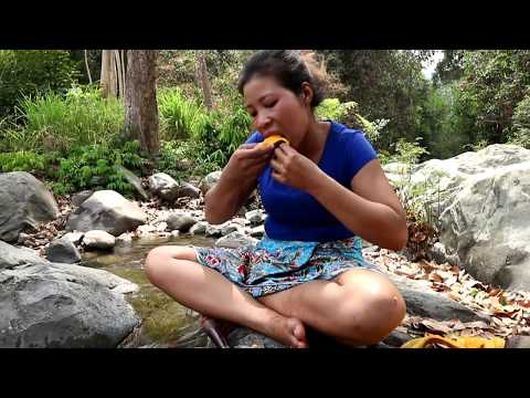 Find and meet natural papaya for food -  Natural  papaya eating delicious #14 Video