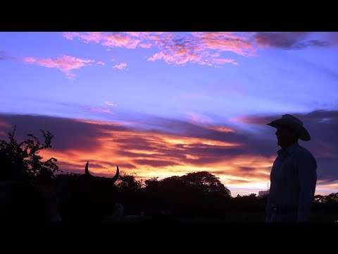 FG (Hato La Trinidad) Remembranzas del Guerrero/Siempre con El LLano/Añoranzas - Jorge Guerrero