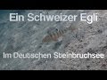 Steinbruchsee Schönbach - KLB 2016 in 4K UHD
