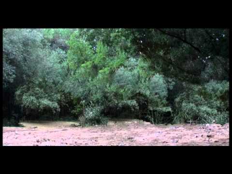 Le vie Pontine e Ciociare della transumanza