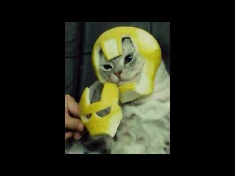 Parcera (Maxiolly, Blessd, ADSO) Remix - milady colombia