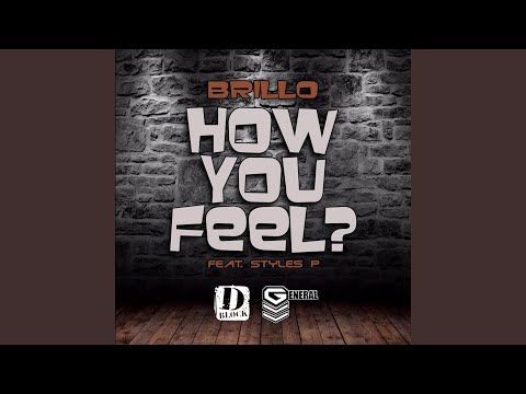 How You Feel (feat. Styles P)