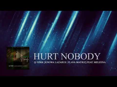 Q-York [Knowa Lazarus | Flava Matikz] feat. Meleena - Hurt Nobody [Muziq Visualizer]
