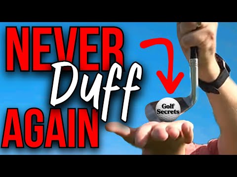 Never Duff Another Chip Ever Again