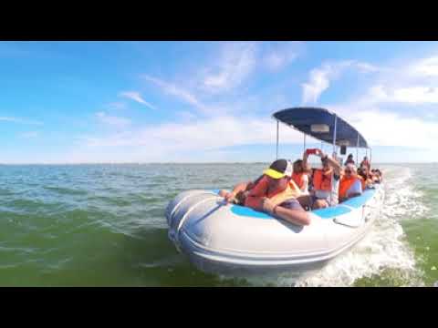 Miramar de Ansenuza en 360, Cordoba  |  Insta 360