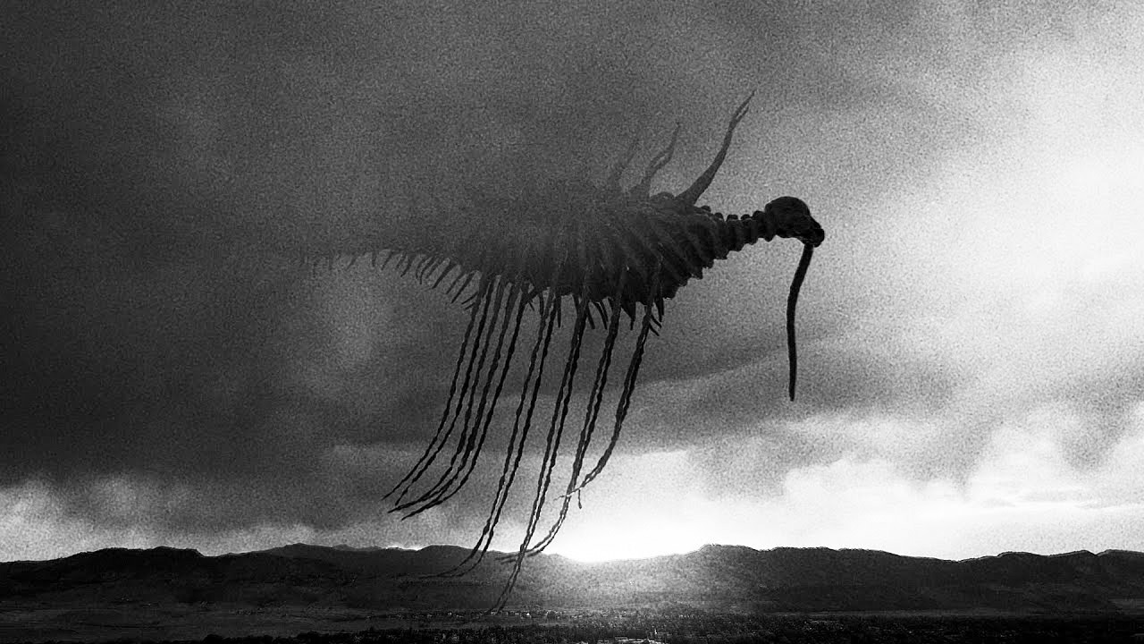 未確認の巨大生物３０