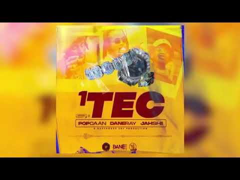Popcaan Ft Jahshii, Dane Ray~1TEC (Official Audio Visualizer)
