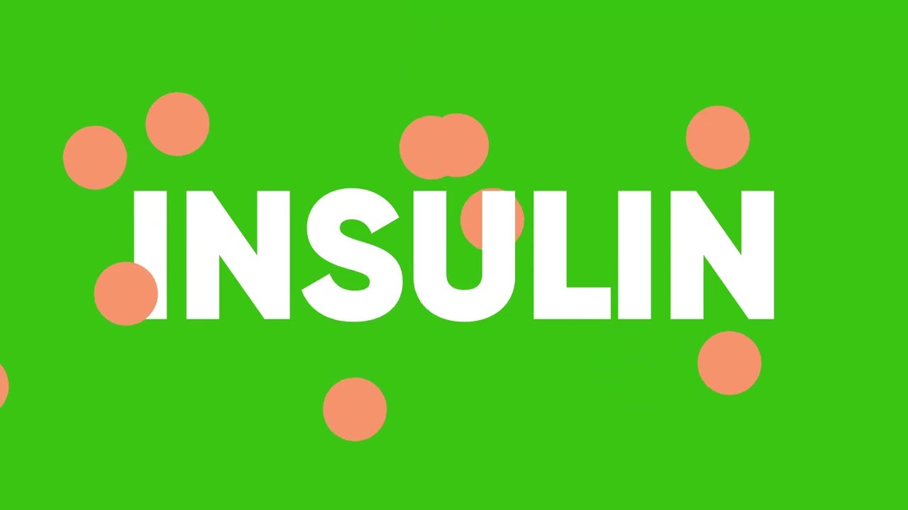 Diabetes 101:   What is Diabetes and How Does it Work in the Body?
