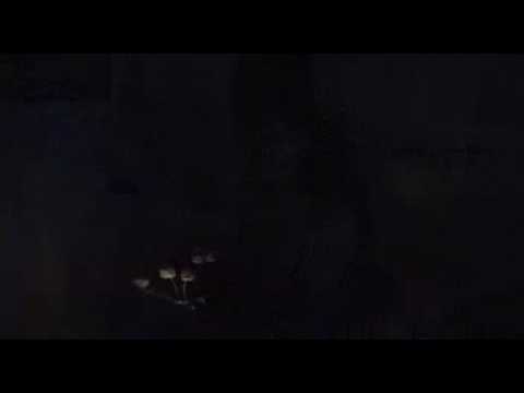 Meditación con la Oración a la Madre Divina