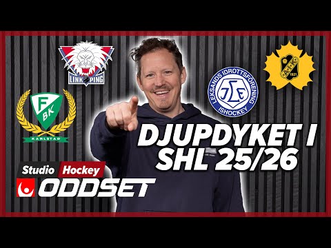 SISTA DELEN AV DJUPDYKET I SHL │Vad behöver lagen få in i truppen under 2025/2026