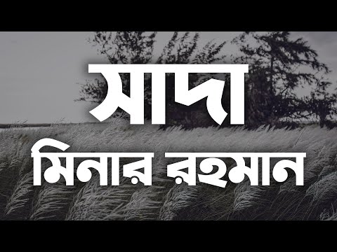 Shada (Lyrics) - Minar Rahman | Tahsan || Danpite