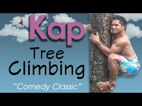 Coconut Tree Climbing with Kap Tafiti- Polynesian Cultural Center Oahu, Hawaii 1995