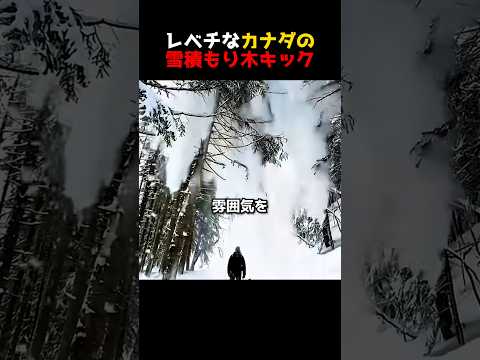 レベチなカナダの雪積もり木キック