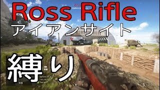 Ross Rifleのアイアンサイトばり見やすい -BattlefieldV