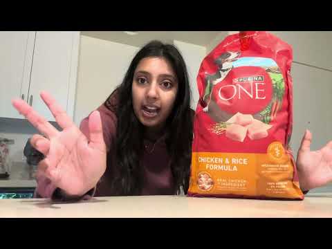 Purina One Dog Food Review (Chicken + Rice) | My dog Couldn't Stop Licking the Bowl