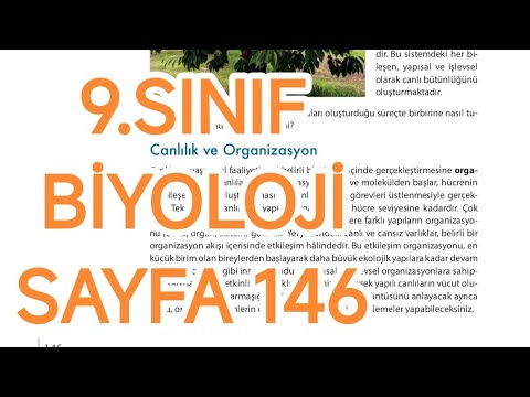 9.SINIF BİYOLOJİ DERS KİTABI SAYFA 146 CEVAPLARI
