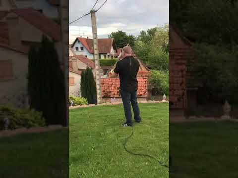 zum Geburtstag viel Glück   the Rose