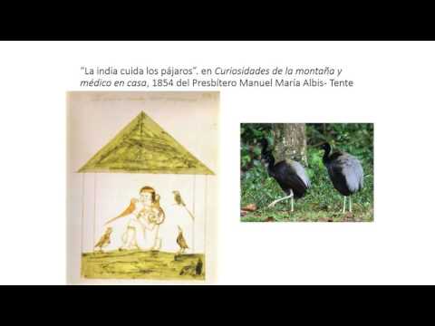 , title : 'Traumas, Ponzoñas y Venenos de Origen Animal en Colombia'