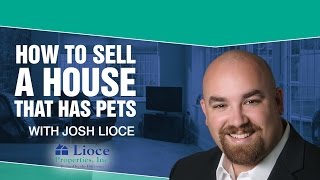 Milford MA Real Estate Agent: How to sell a house that has pets